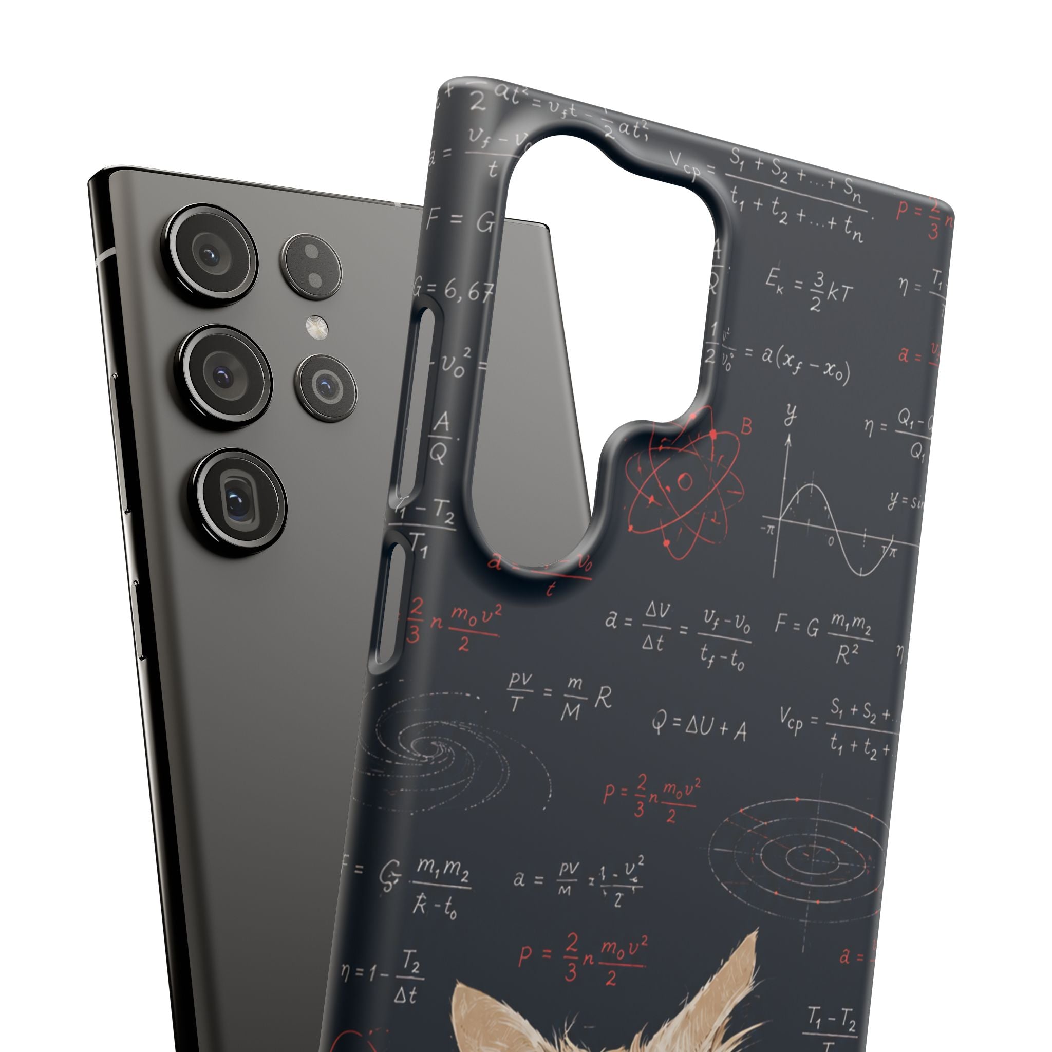 Quantum Kitty Physics Phone Case