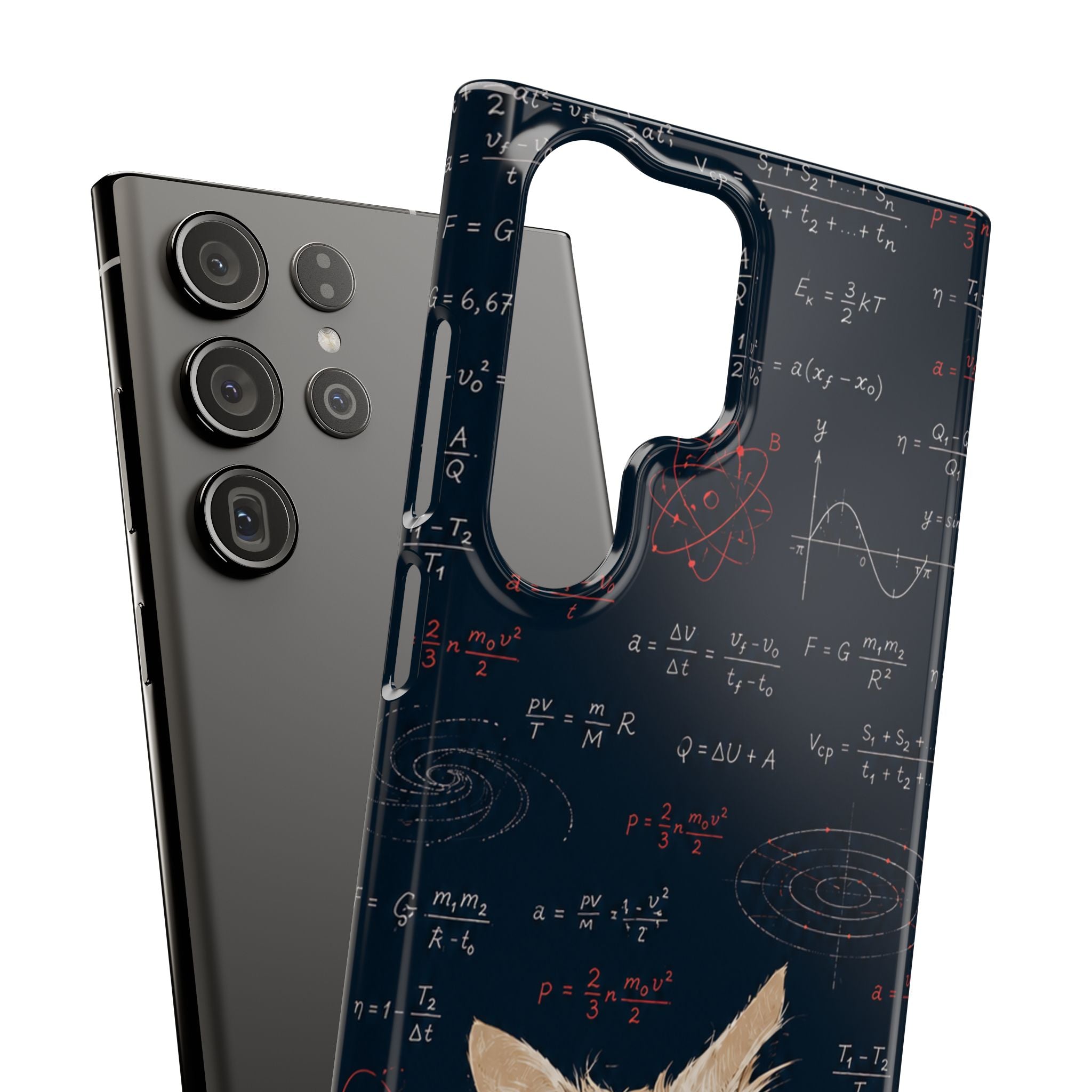 Quantum Kitty Physics Phone Case