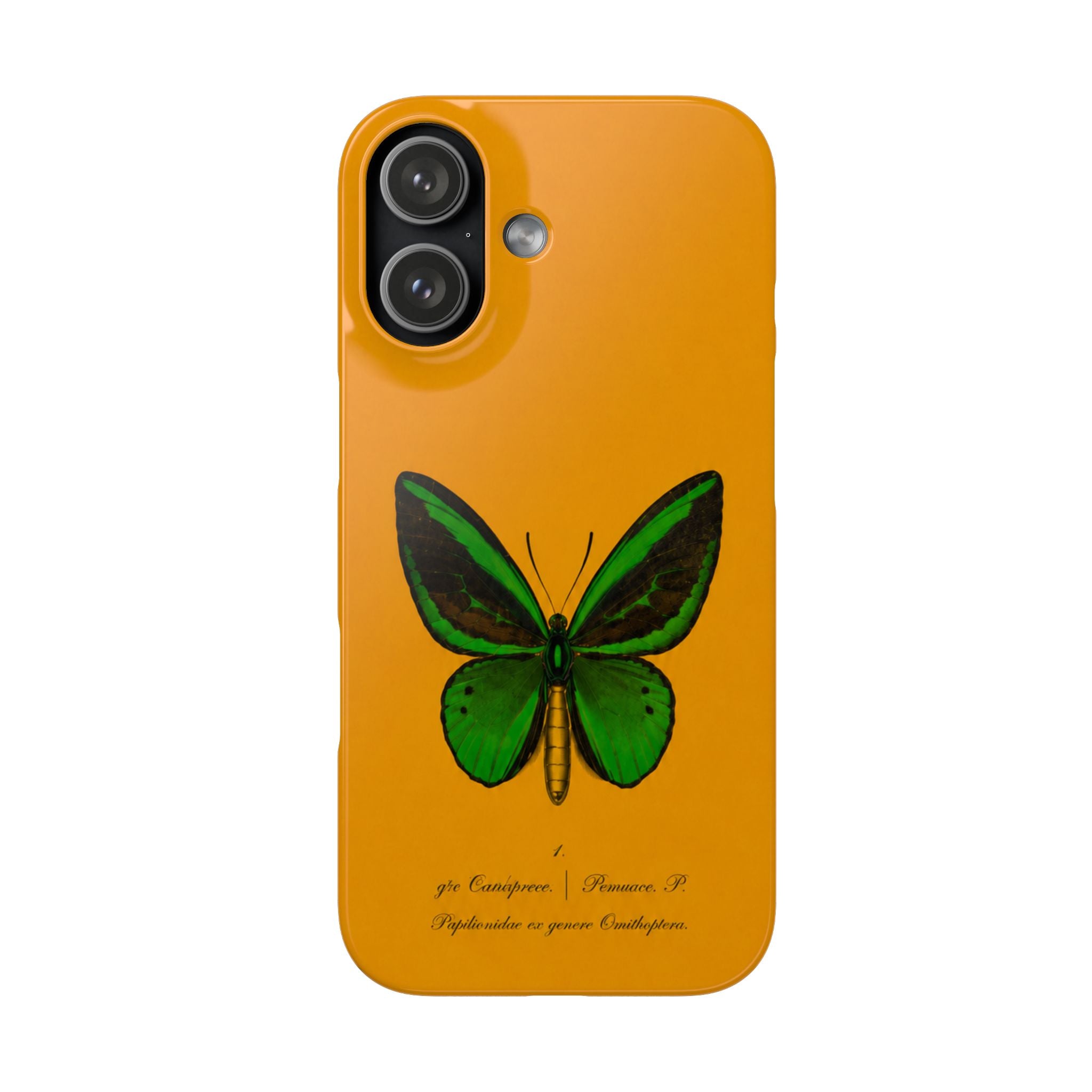 Snap Cases