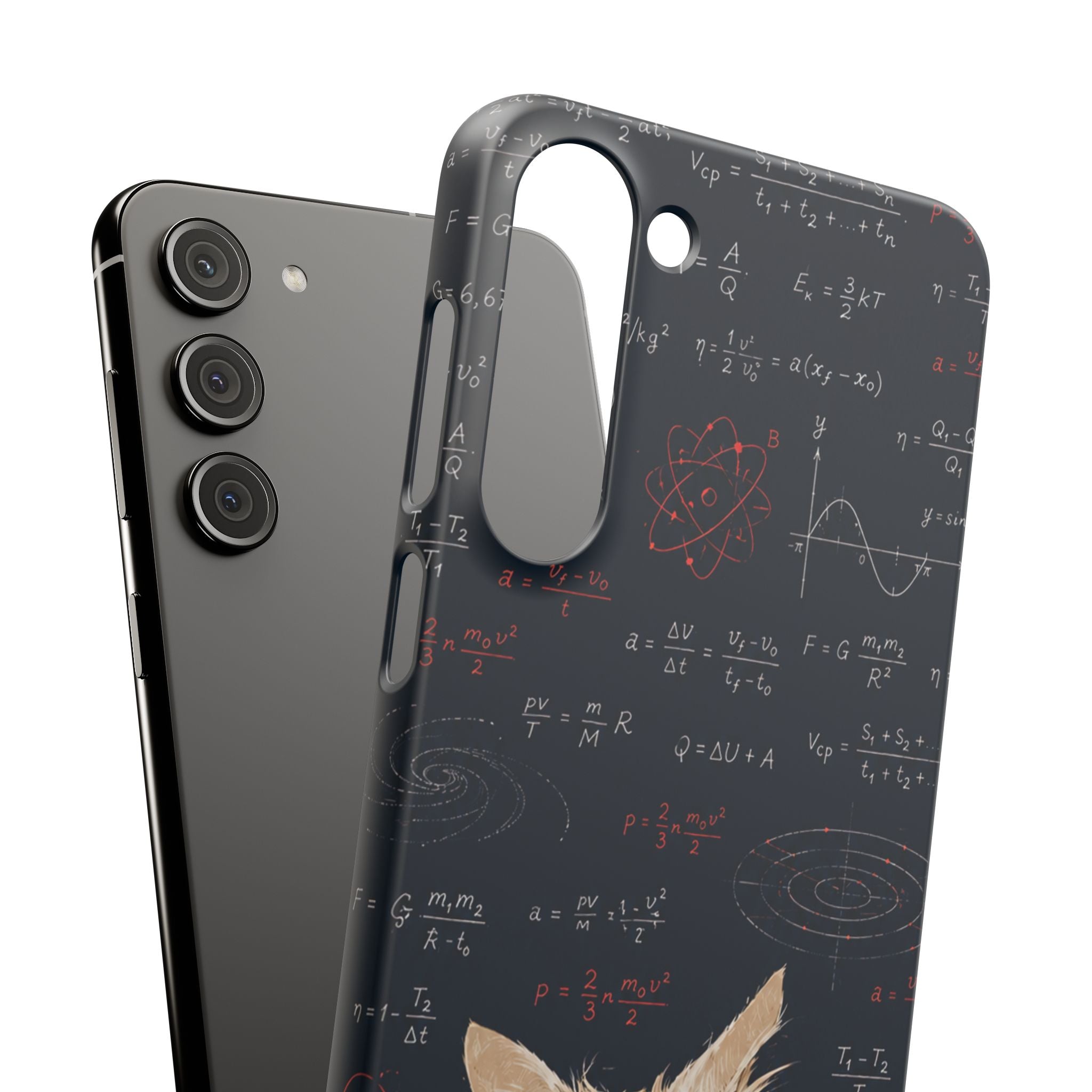 Quantum Kitty Physics Phone Case