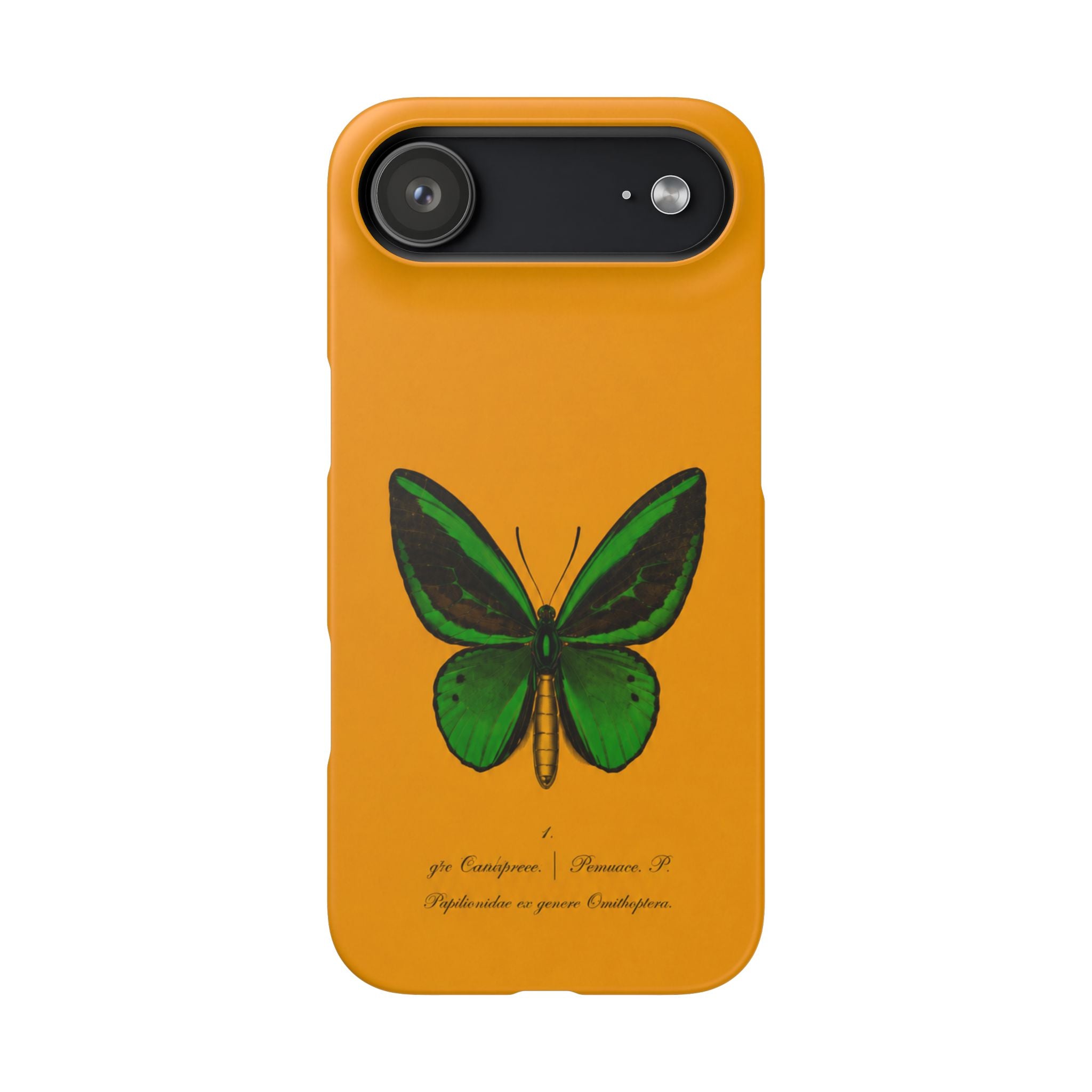 Snap Cases