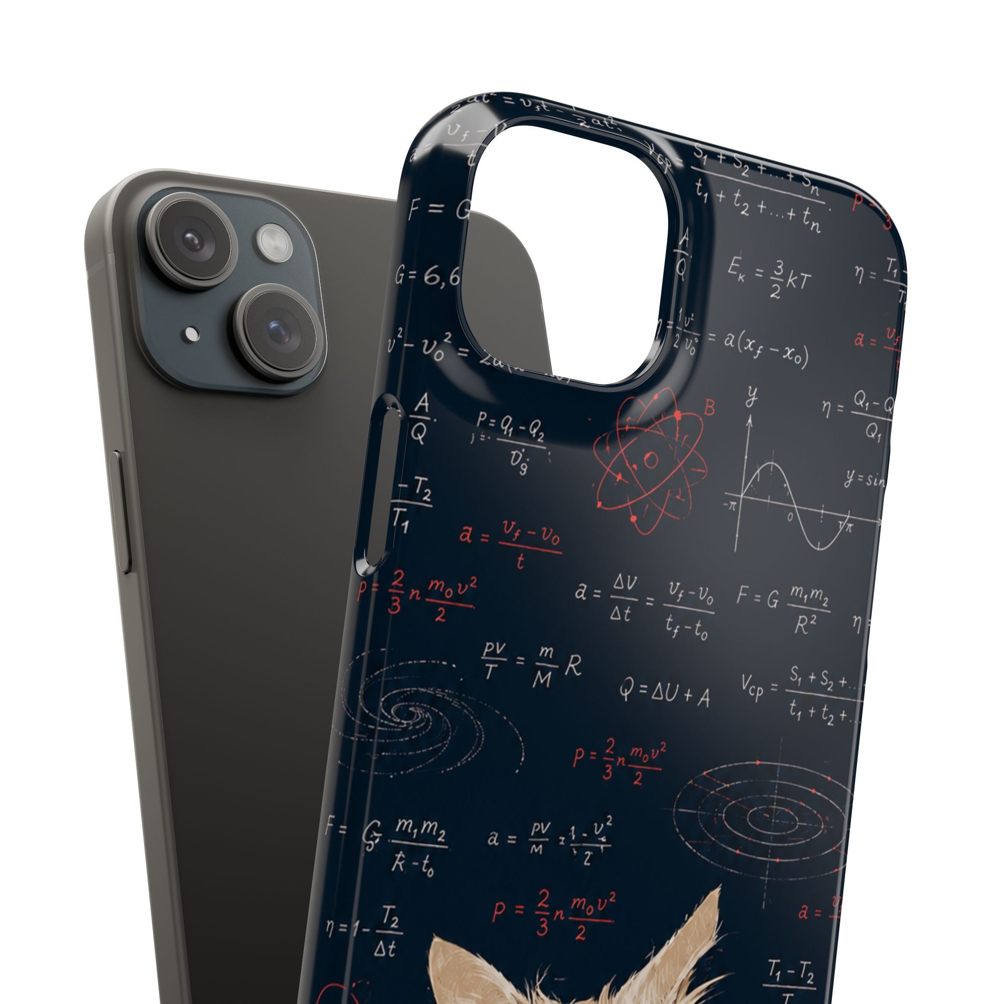 Quantum Kitty Physics Phone Case