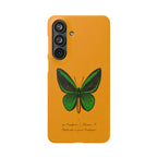 Snap Cases