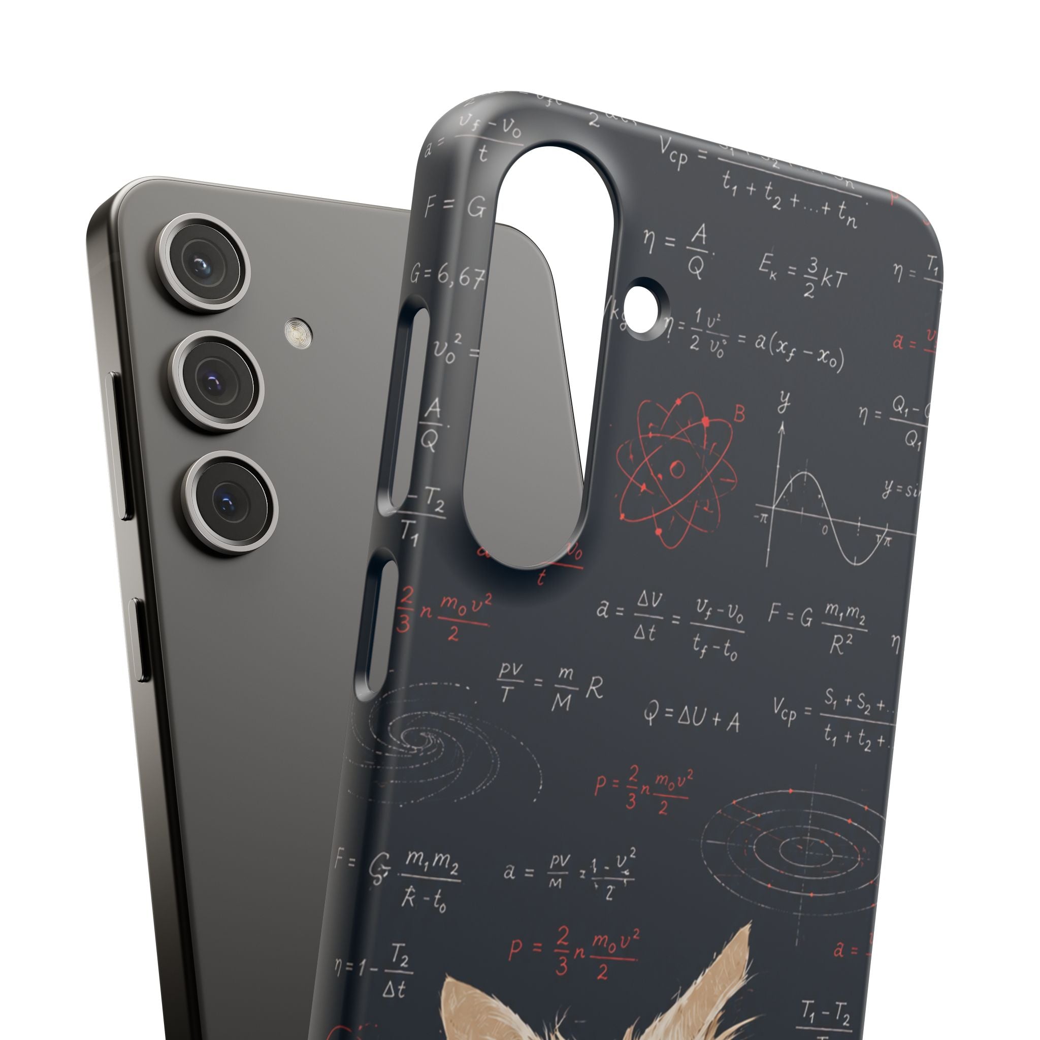 Quantum Kitty Physics Phone Case