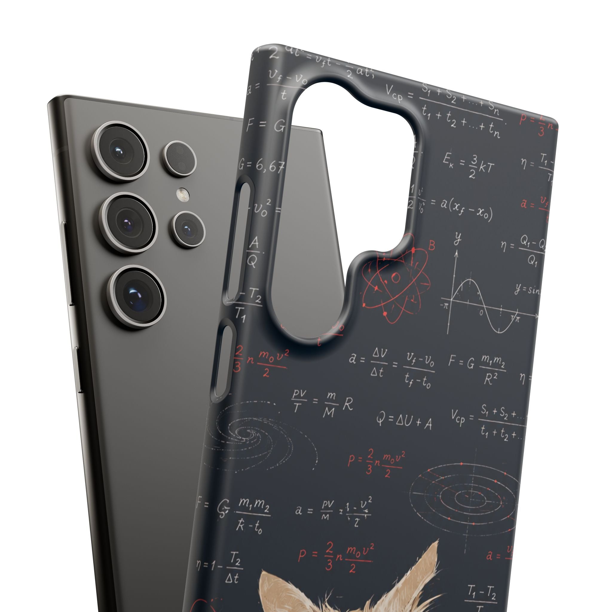 Quantum Kitty Physics Phone Case