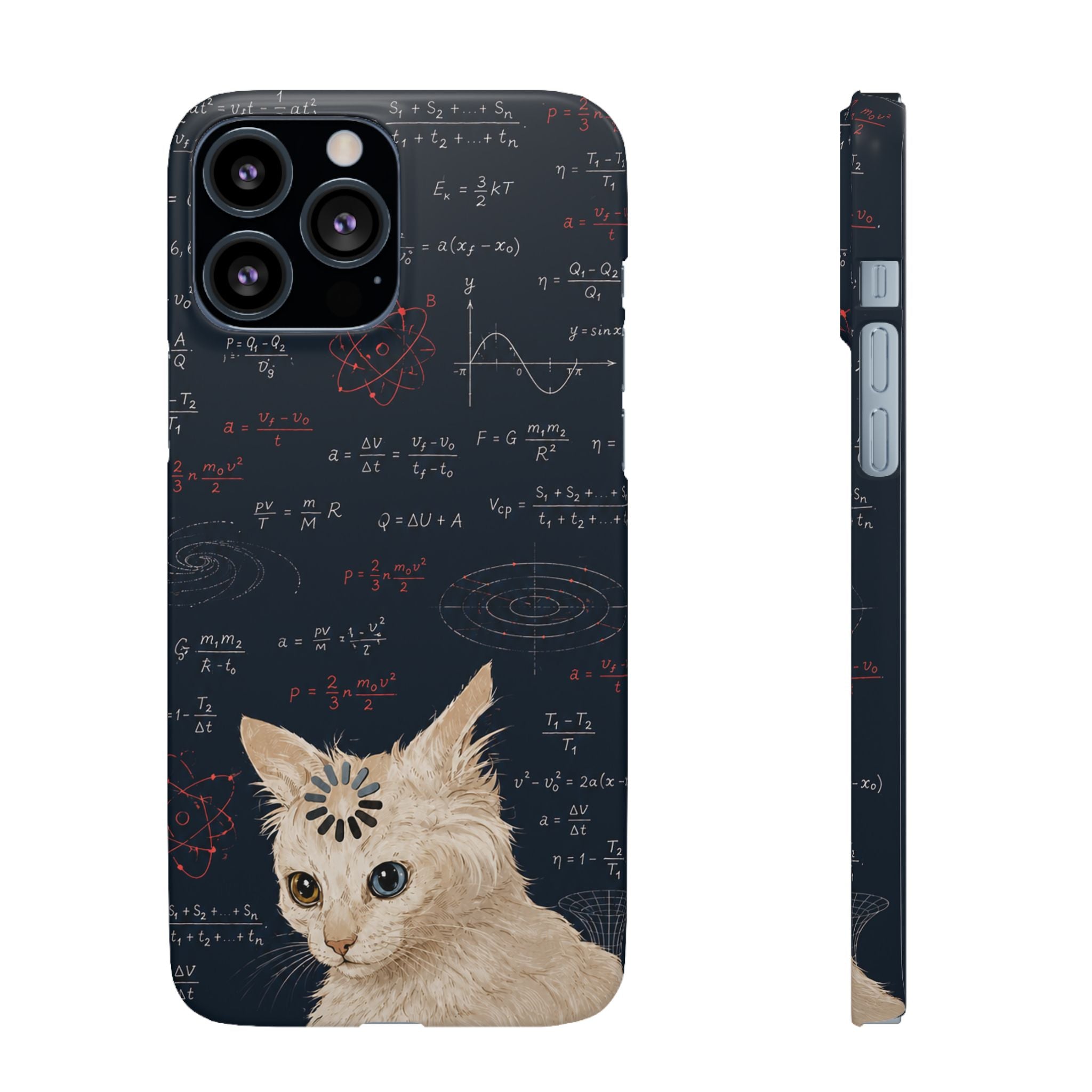 Quantum Kitty Physics Phone Case