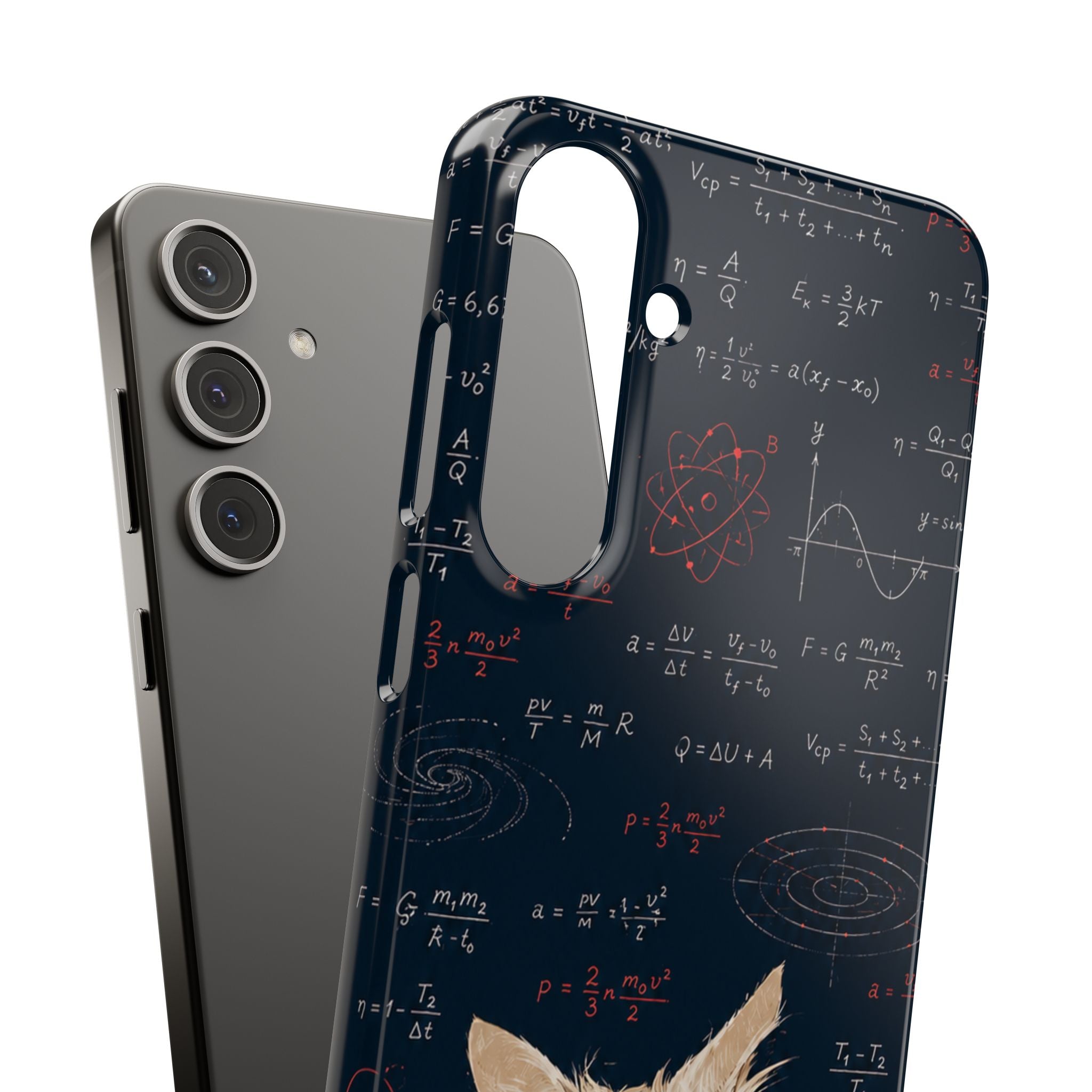 Quantum Kitty Physics Phone Case