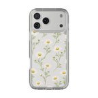 Clear Cases