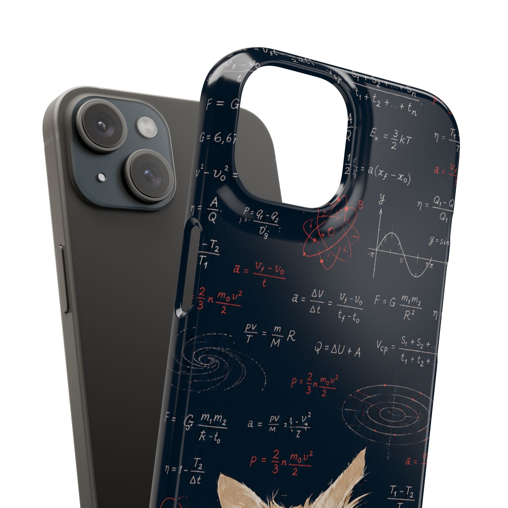 Quantum Kitty Physics Phone Case