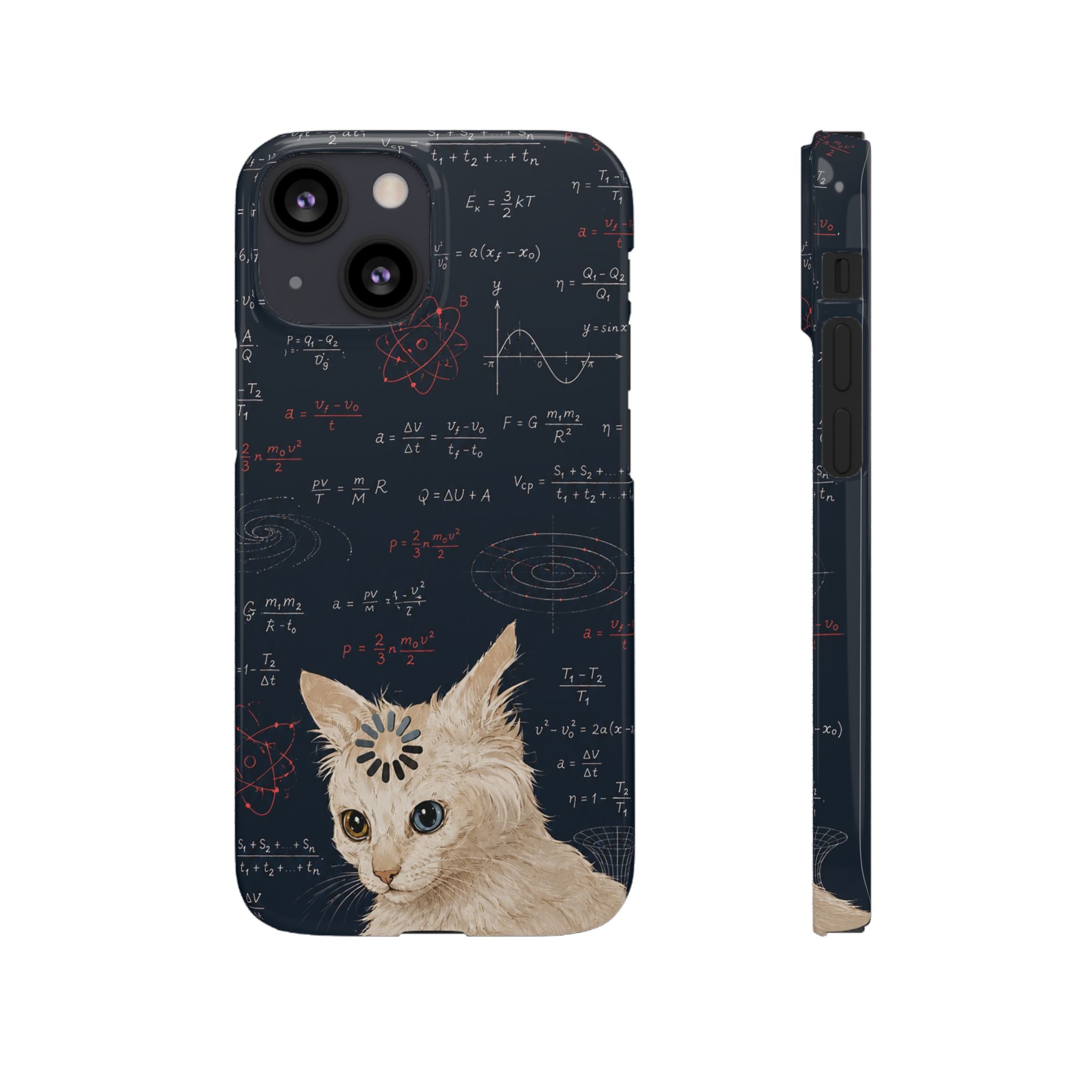 Quantum Kitty Physics Phone Case