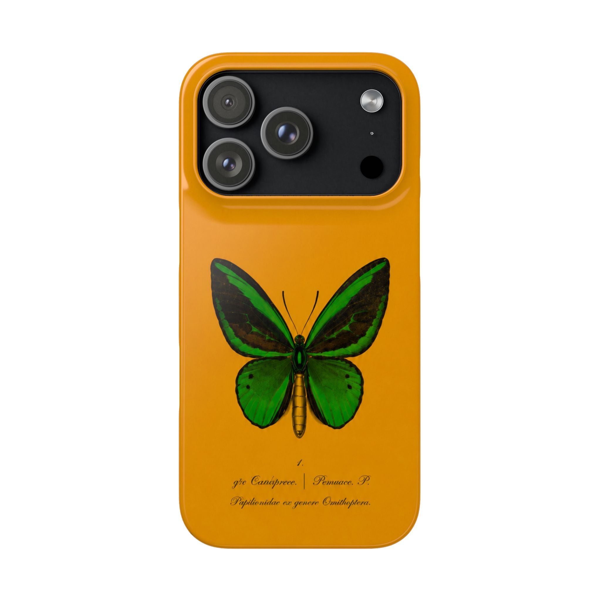 Snap Cases