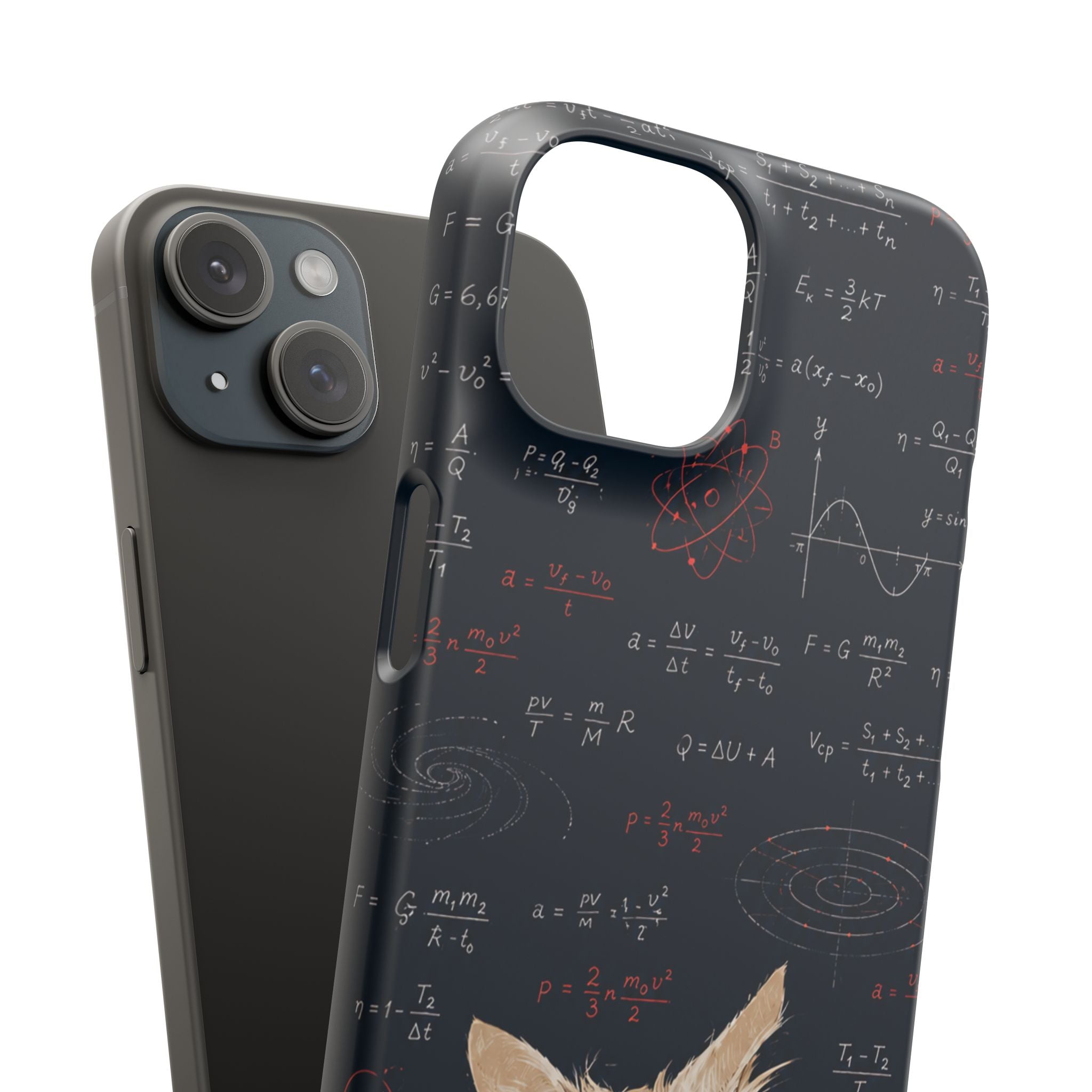 Quantum Kitty Physics Phone Case