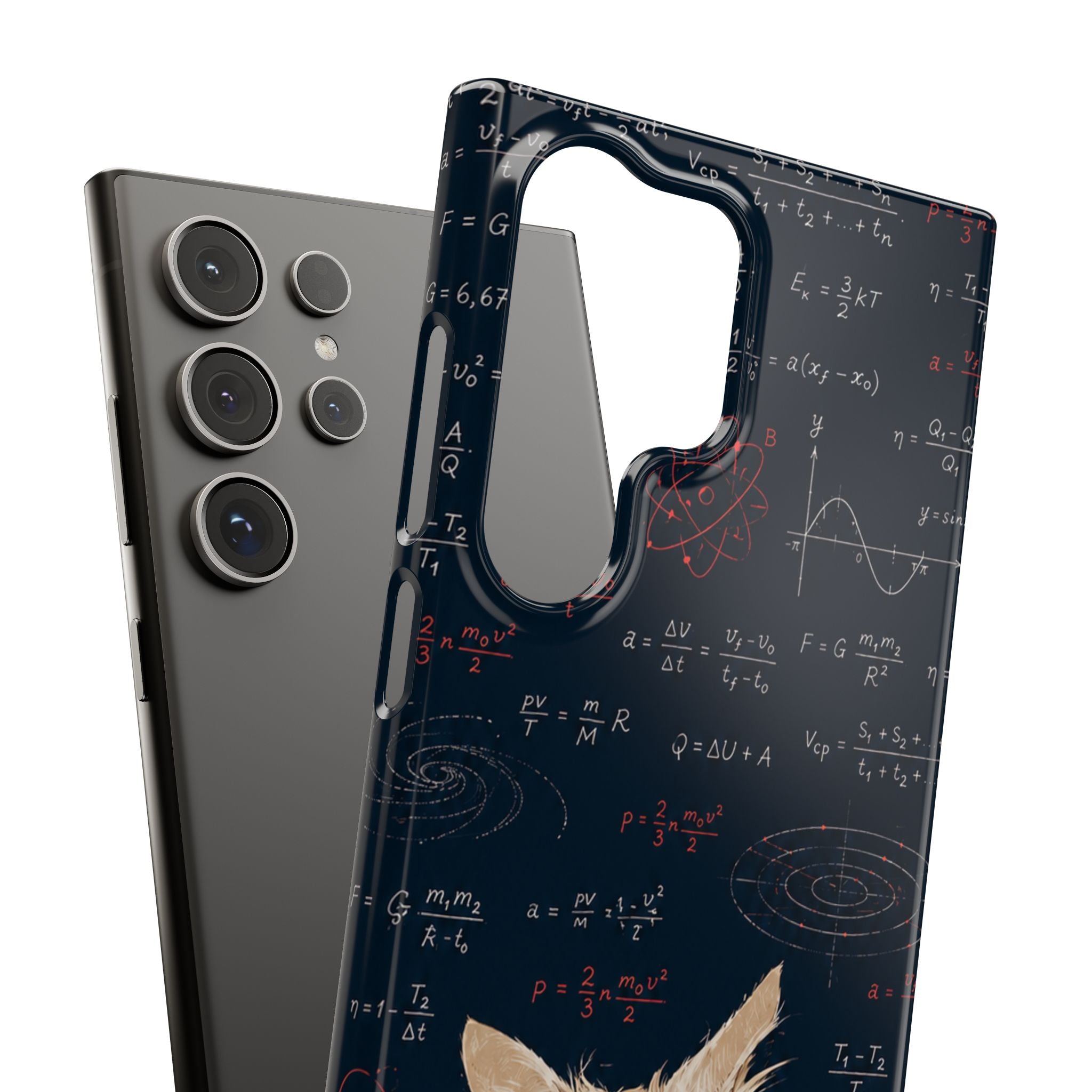 Quantum Kitty Physics Phone Case