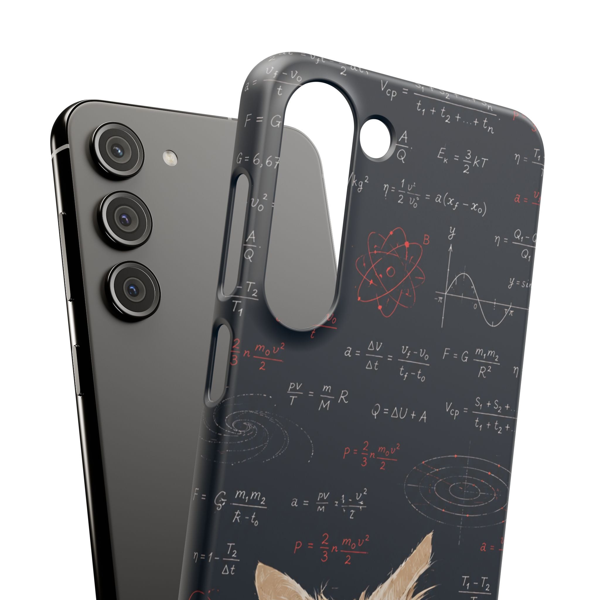 Quantum Kitty Physics Phone Case