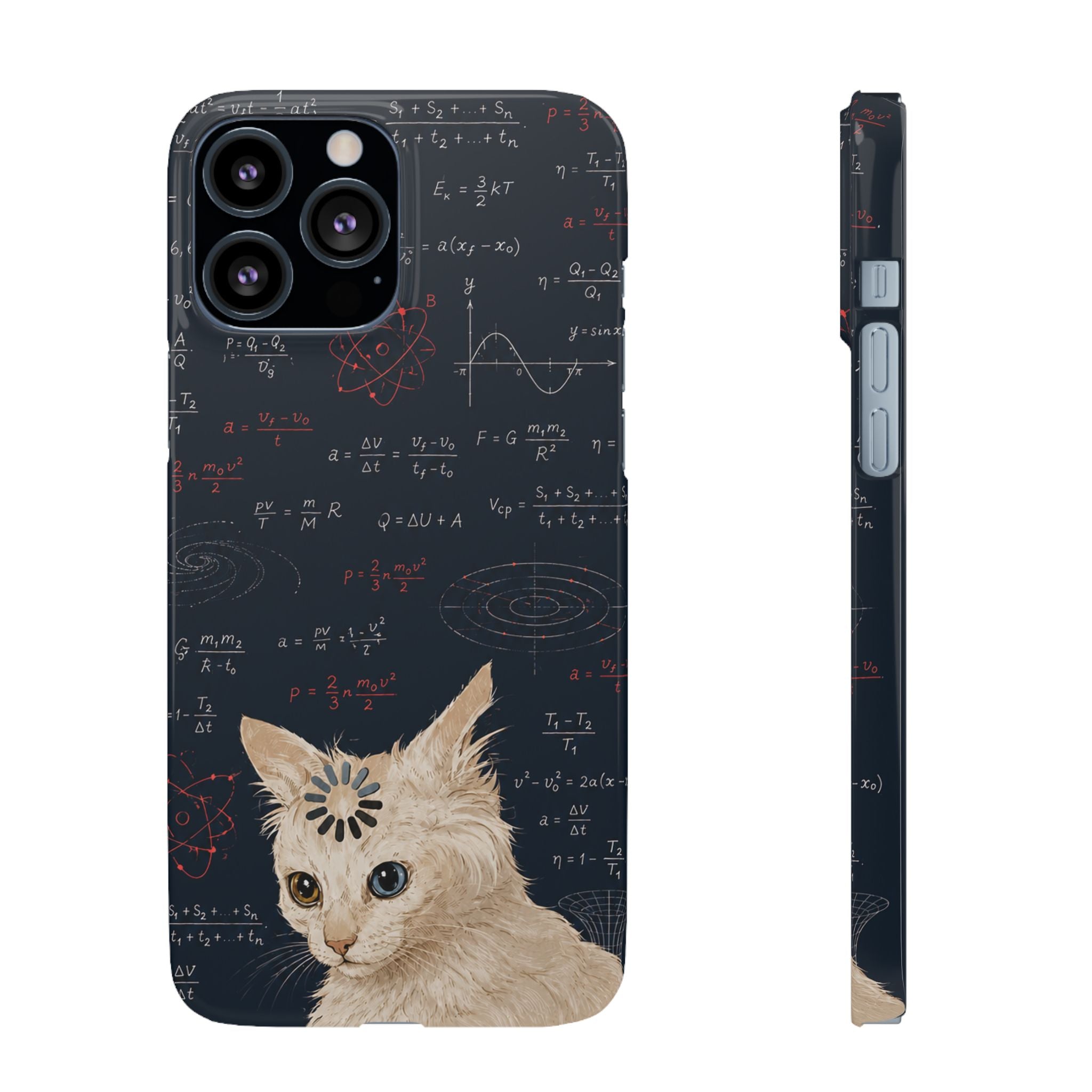 Quantum Kitty Physics Phone Case