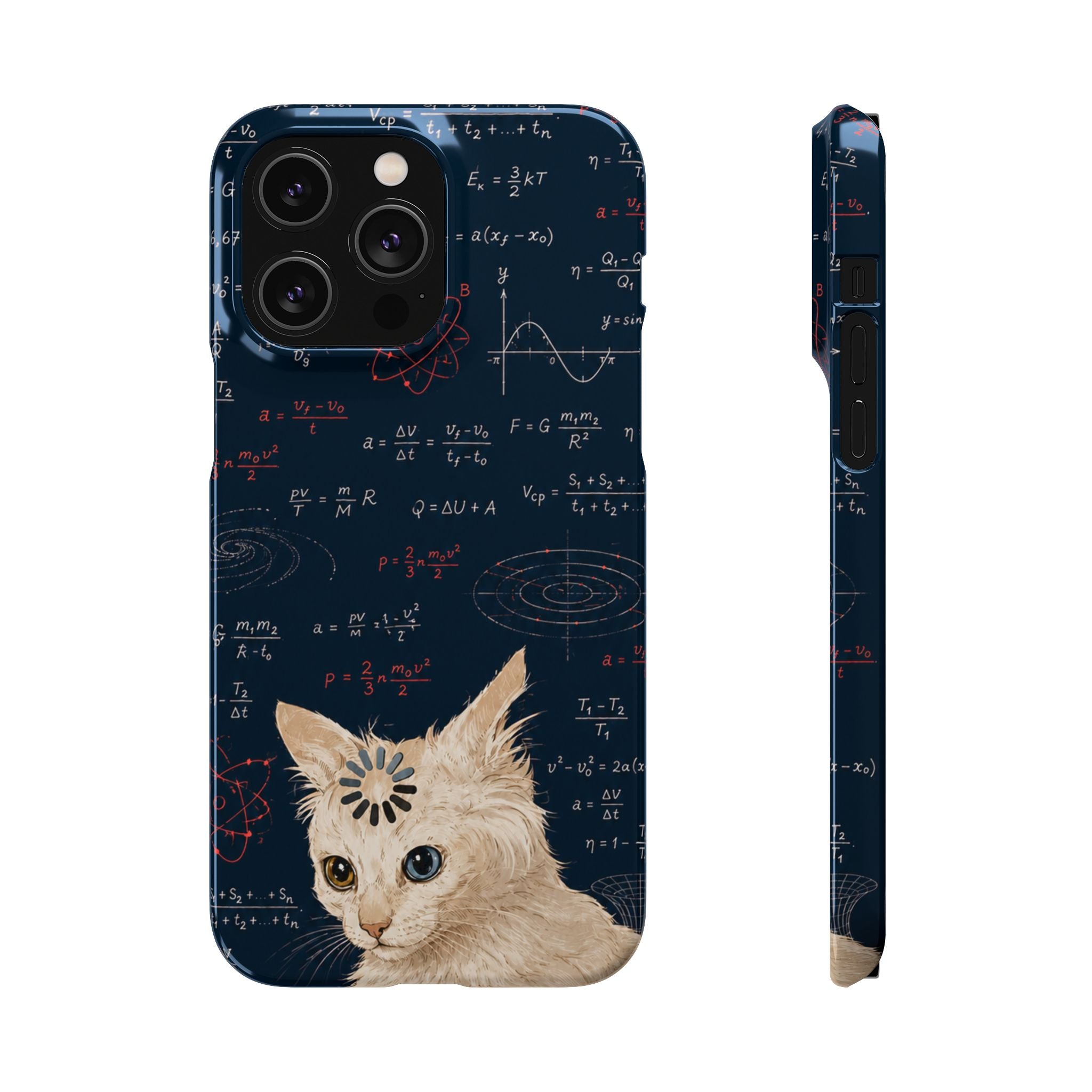 Quantum Kitty Physics Phone Case
